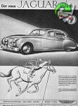 Jaguar 1951 2.jpg
